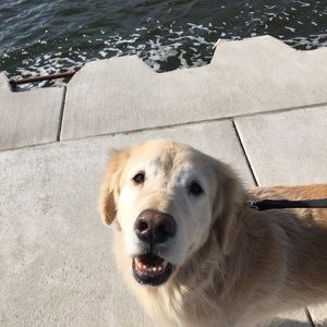 Meet your Posher, Susan